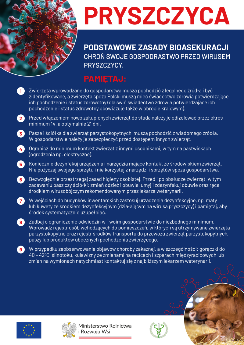 plakat_PRYSZCZYCA_A3 (1)
