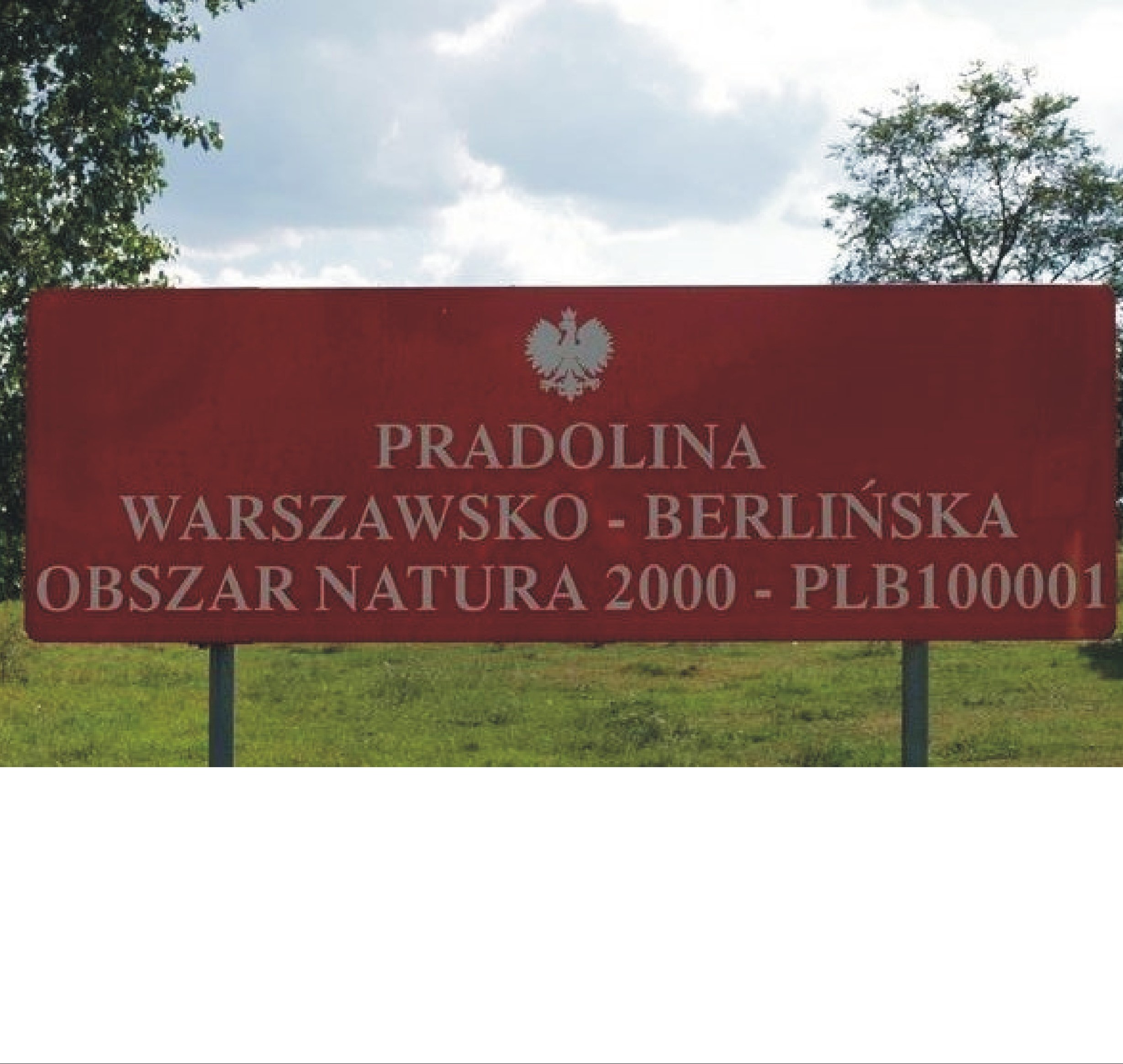 Konkurs „Awifauna Pradoliny Warszawsko-Berlińskiej”