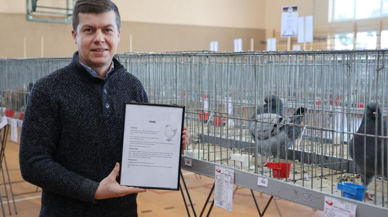 Wystawa gołębi i drobnego inwentarza w Kompinie