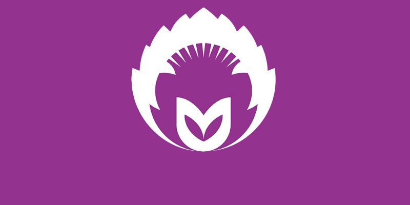 Szczegółowy harmonogram projekt „Rodzina z przyszłością”